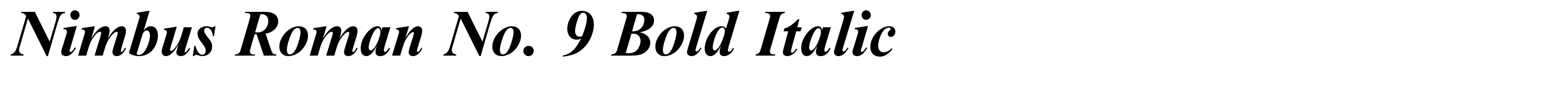 Nimbus Roman No. 9 Bold Italic